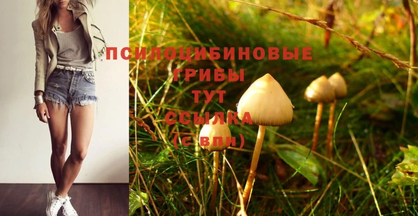 экстази Алзамай