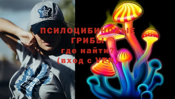 эйфоретик Алексин